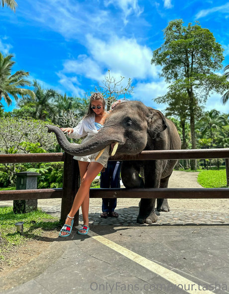 your tasha on onlyfans