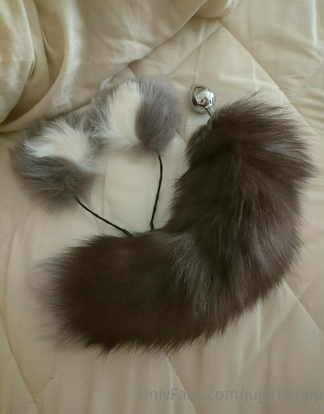 jujuthepup onlyfans page