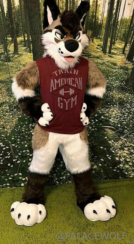 palacewolf onlyfans leaked pictures