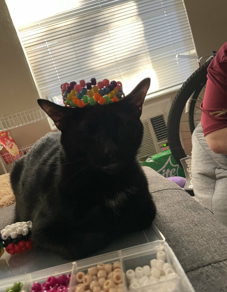 hereliesviolet onlyfans leak sex