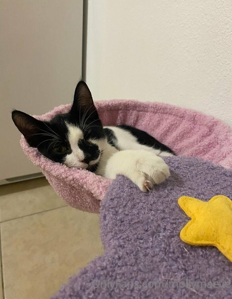 mollymaeve onlyfans picture