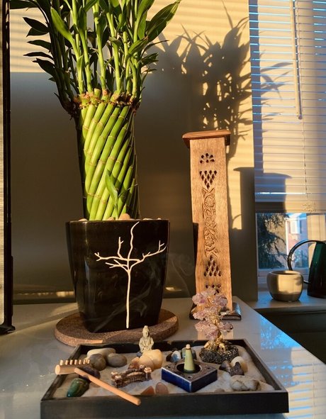 cutestonergirl01 onlyfans leaks nudes