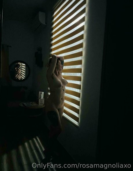 rosamagnoliaxo onlyfans pics nude