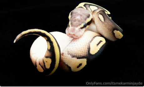 itsmekarminjayde onlyfans naked porn