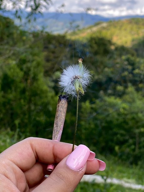 andrea 9864 onlyfans hot