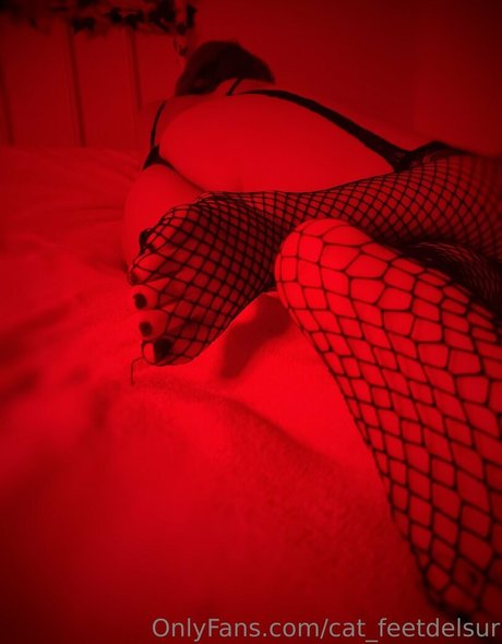 cat feetdelsur only fans pics