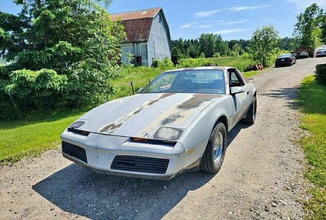 Shygal lilly onlyfans pics