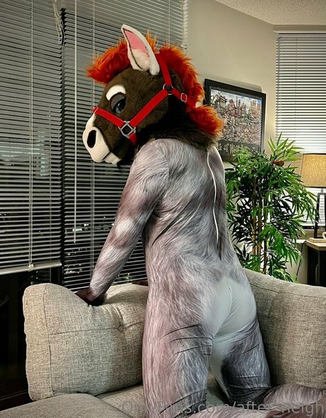 after neigh onlyfans archives