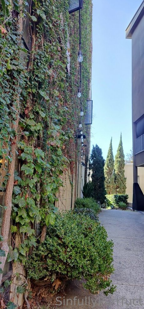 sinfullypurrfuct onlyfans