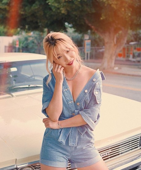 shemale lingerie onlyfans free porn visual