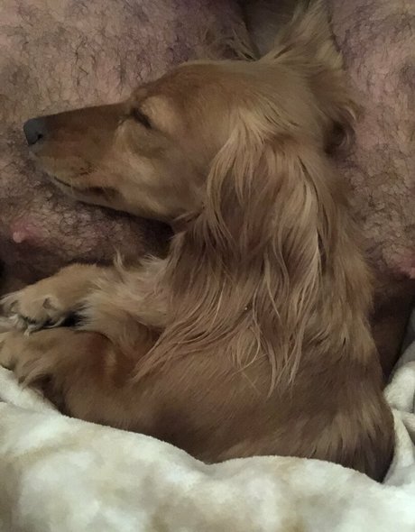 chadwhitexxxfree only fans leaks porn