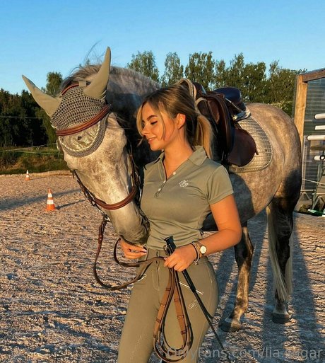 lia sugar onlyfans leams