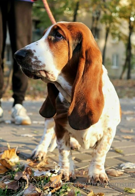 freedomsun onlyfans leaks xxx