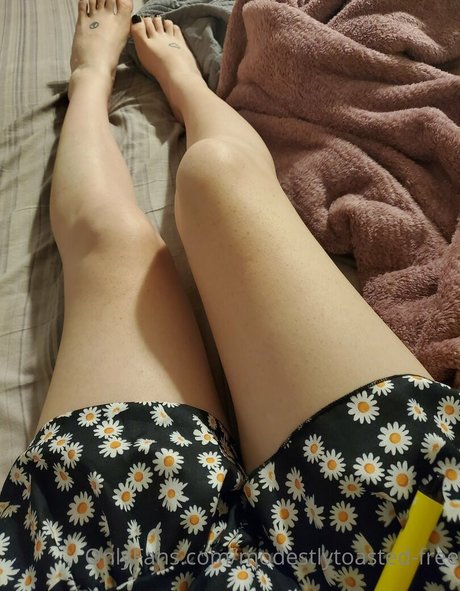 modestlytoasted free onlyfans pic