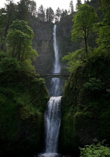 alignedbyjuniper onlyfans model