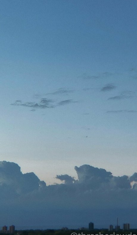 thrasherlewds onlyfans sextape