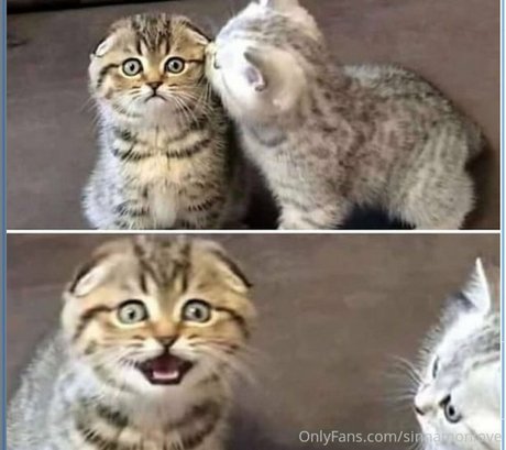 Sinnamon Love leak onlyfans