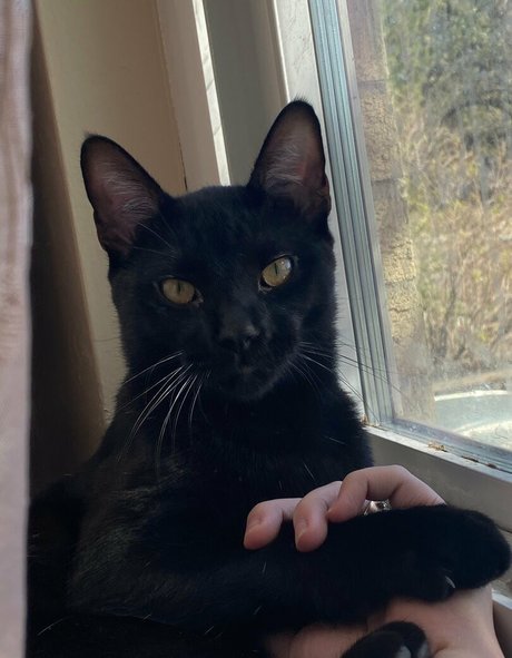 nikkiinatural onlyfans topless