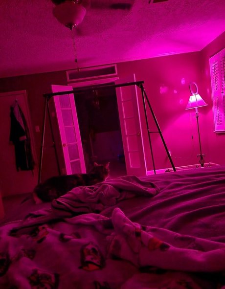 elainagregory onlyfans sex leaks