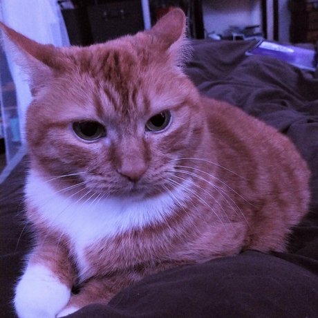 babybooh420 onlyfans leaks nudes