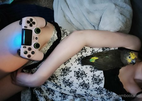 pandavision leaked naked onlyfans