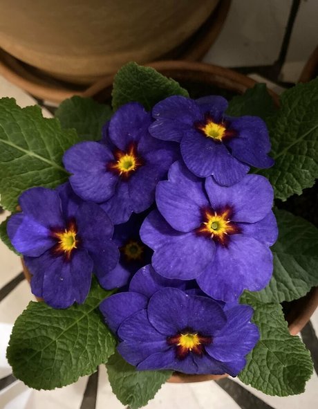 florence agapi onlyfans leak ass