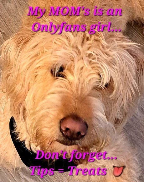 tennesseegirl72 nude onlyfans leak