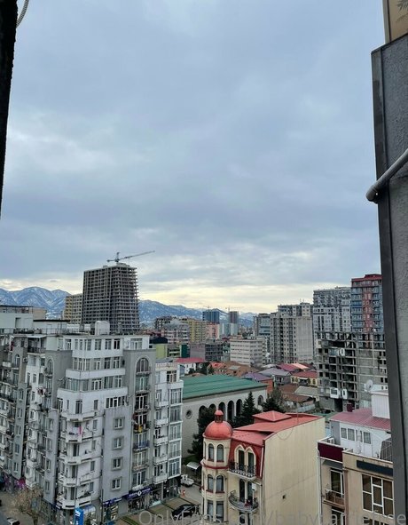 babycarriefree leaked onlyfans pics