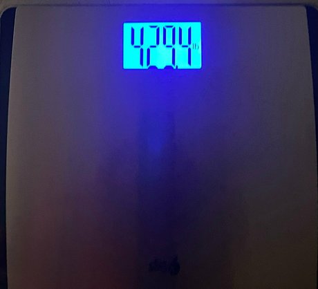 honeycow 17 onlyfans naked