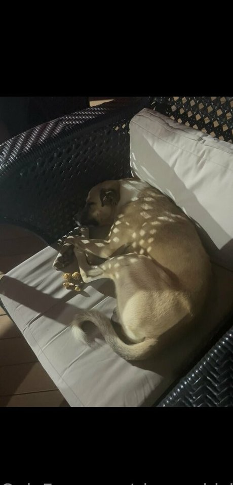 sleepychick11 onlyfans porn leaks