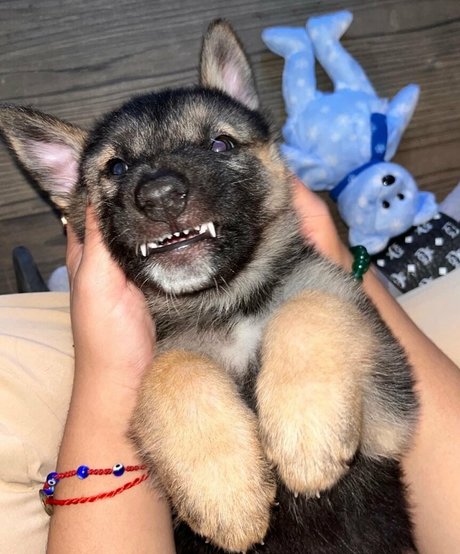 lillatinabaddie onlyfans model photo