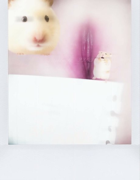 suabap 2205 nude onlyfans leaked