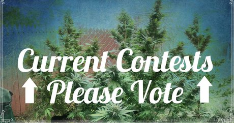 ginger420expo onlyfans lean