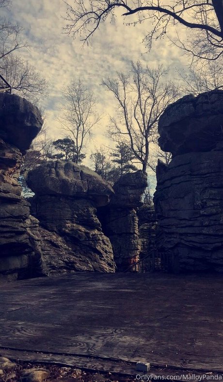 malloypanda onlyfans leaks