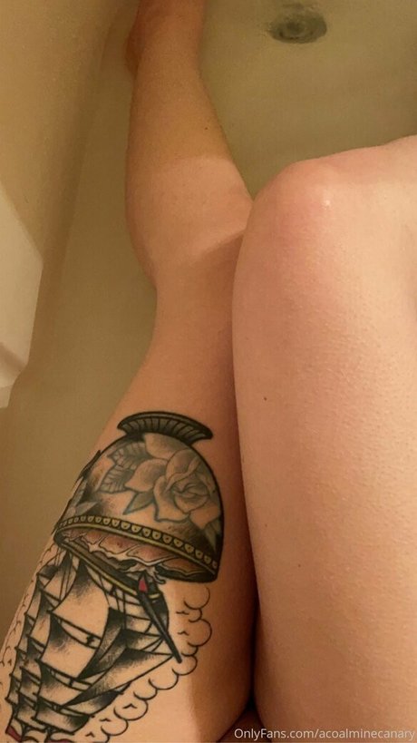 acoalminecanary Profile pic