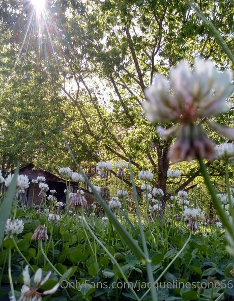 jacquelinestone56 onlyfans pics leaked