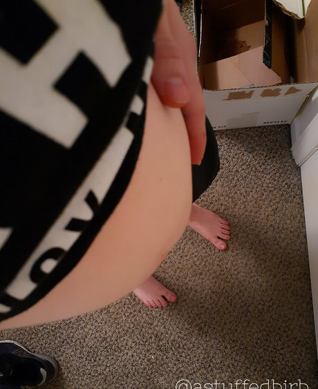 astuffedbirb free onlyfans porn
