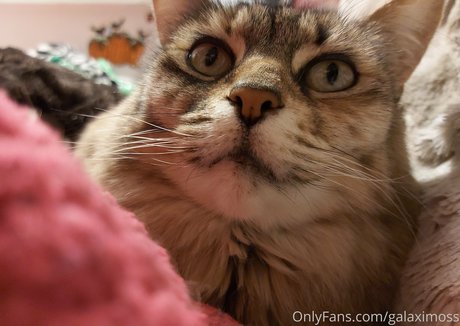 galaximoss xxx onlyfans