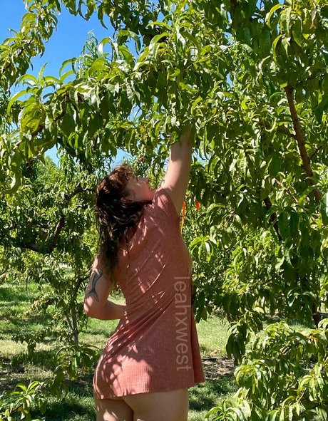 leahxwestfree onlyfans leaked naked