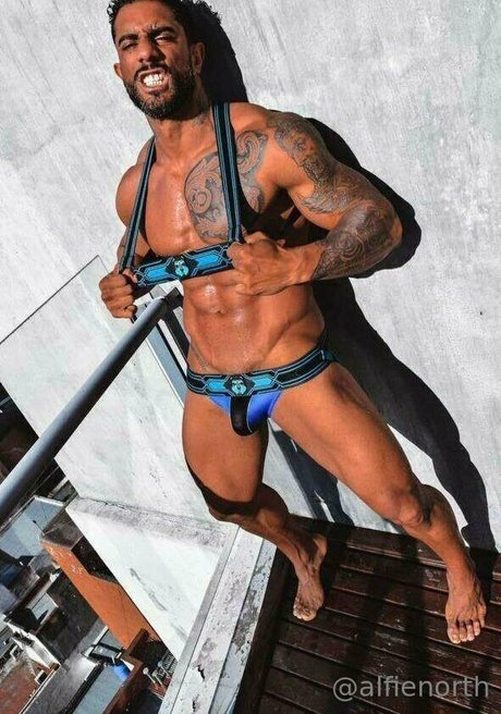 alfienorthfree onlyfans.