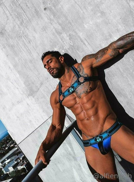 alfienorthfree only fans