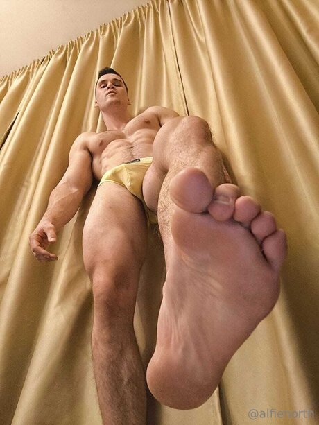 alfienorthfree onlyfans porn