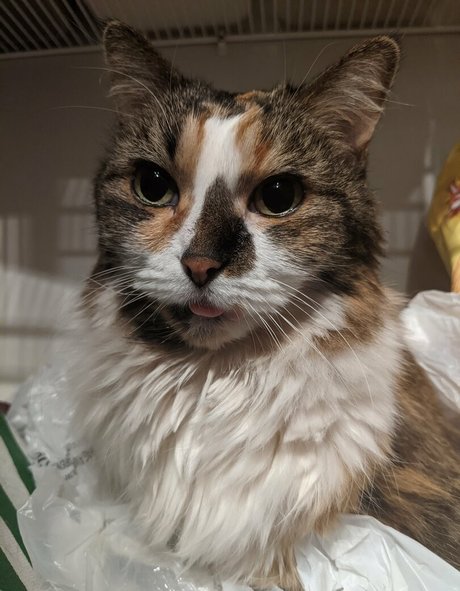 snoot nudes onlyfans