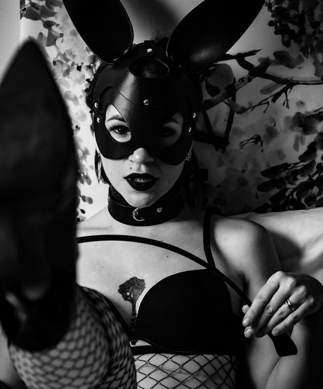 tattoo onlyfans free xxx plate