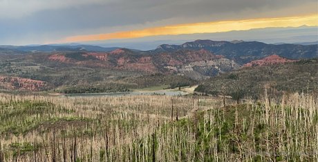 cheekz26 nsfw onlyfans