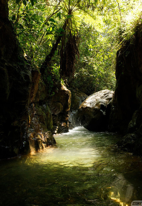 Ileana Burgos nude onlyfans leak