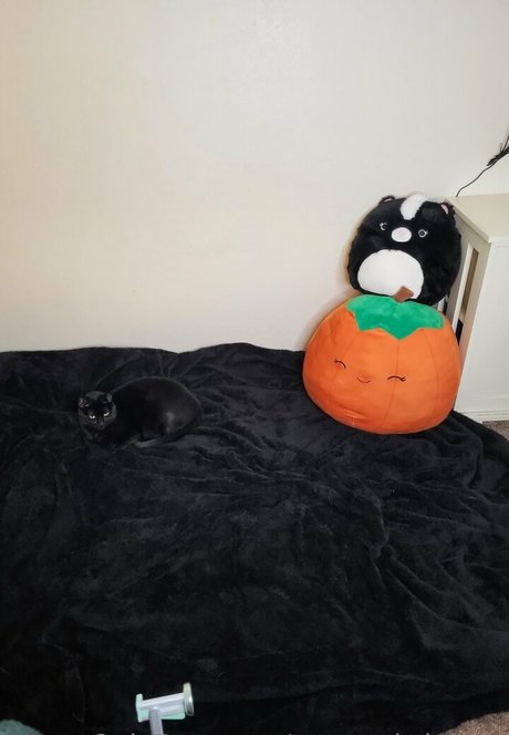 twopunksinlove leaked onlyfans nudes