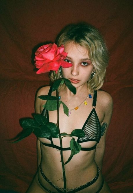 littleveraaa onlyfans nude leak