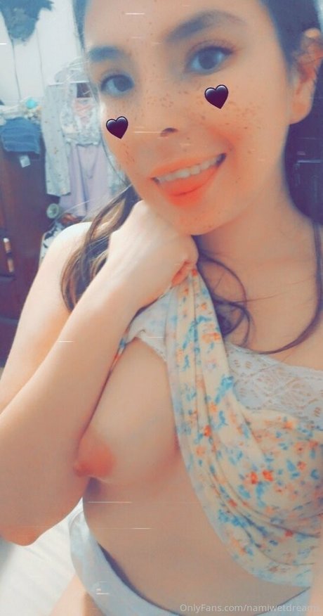 namiwetdreams nude onlyfans leaked