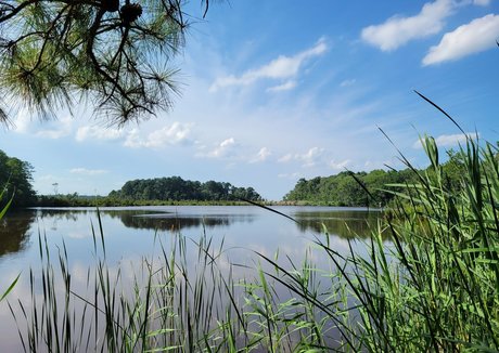 gingerhippie74 onlyfans nudes